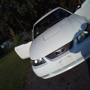 Meet your Posher, Dakota